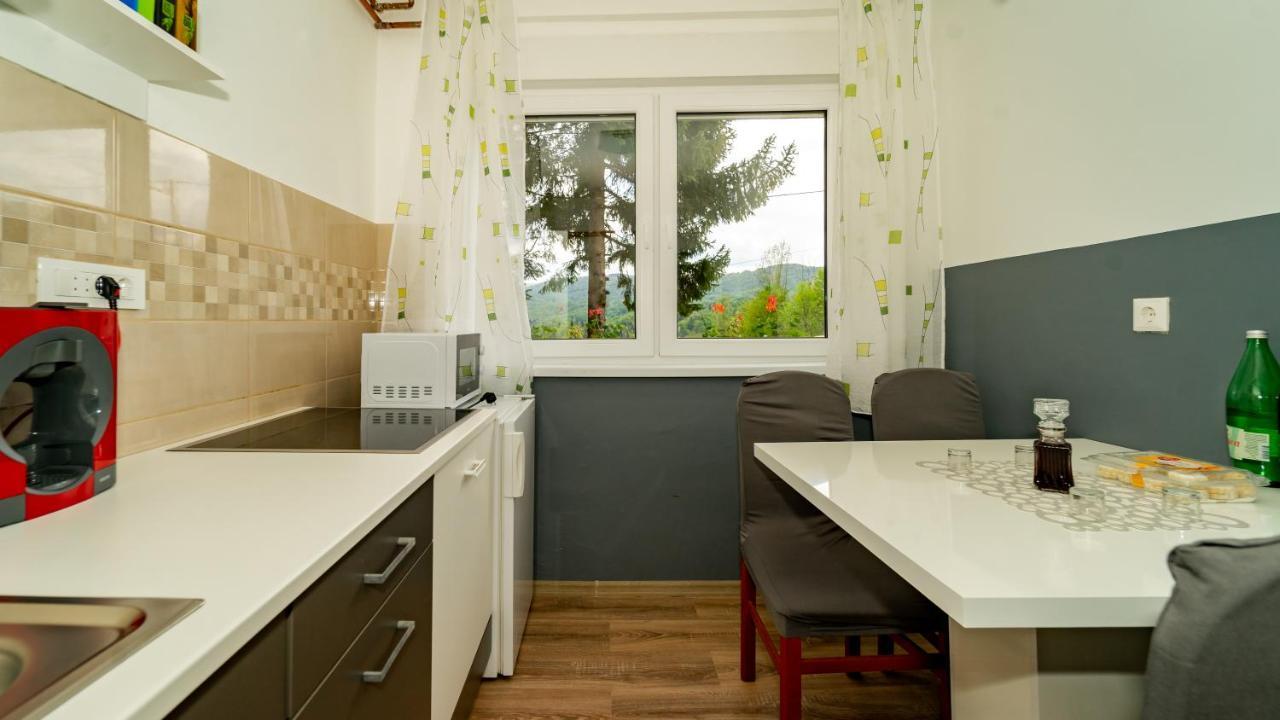 Apartman Gradina Gomirje Exterior foto